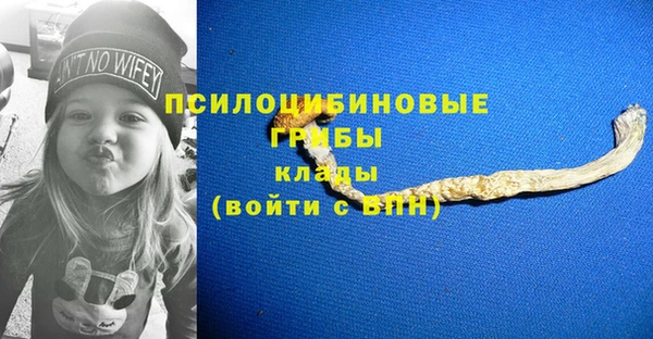ешки Коряжма