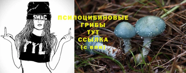 ешки Коряжма