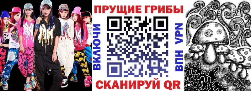 blacksprut как войти  Мглин  Псилоцибиновые грибы Psilocybe  что такое  